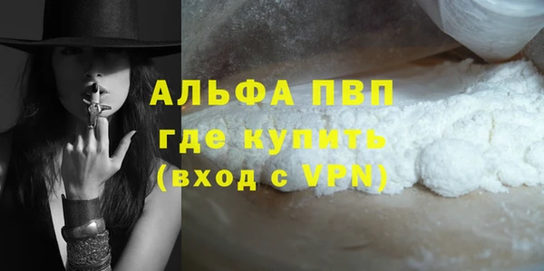 индика Балабаново