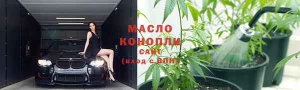 индика Балабаново