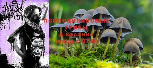 spice Покровск