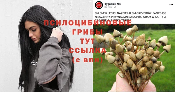 spice Покровск