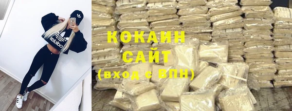 индика Балабаново