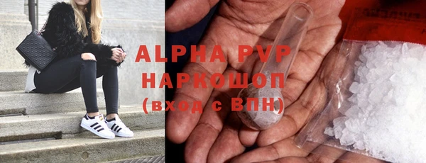 индика Балабаново