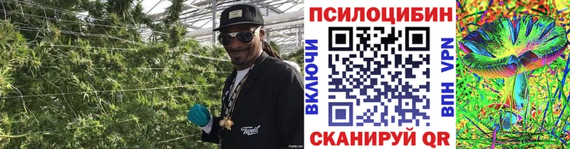 MEGA ONION  купить наркотик  Пролетарск  Псилоцибиновые грибы ЛСД 