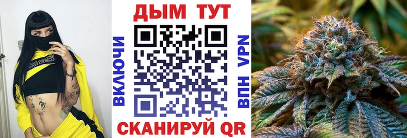 купить  сайты  Пролетарск  Бошки марихуана SATIVA & INDICA 